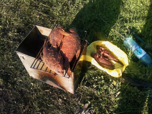 А это наш улов