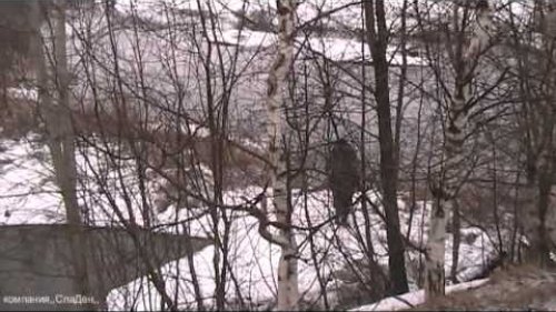 Ежегодные Областные испытания подсадных уток-,,Нижегородская Подсадная,,