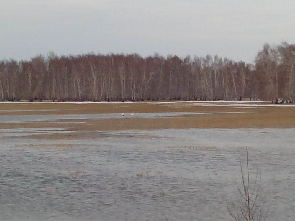 Сели отдохнуть.