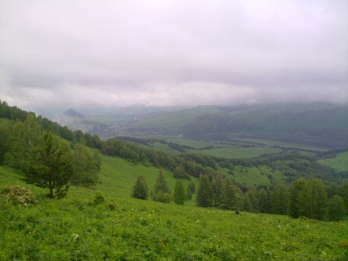 Красота