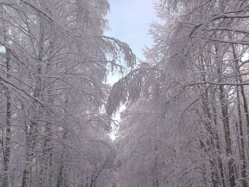 Снежок1
