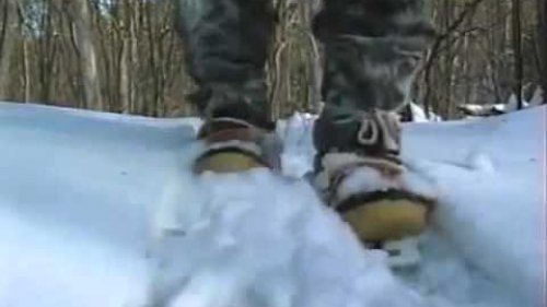 13 минут соболиной жизни