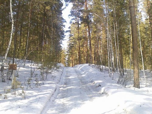 весна