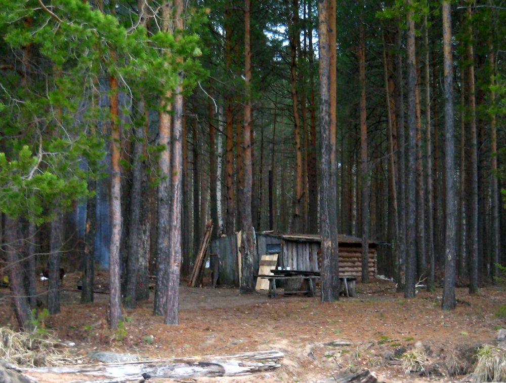 Снег стаял