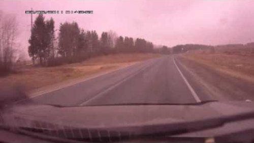 Охотник поневоле