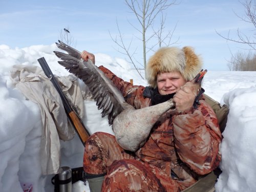 Весенний гусь 2015