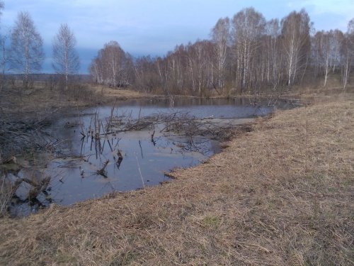 Весенний разливчик.