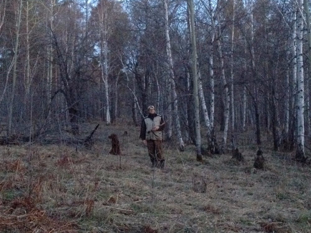 Все слушаем!
