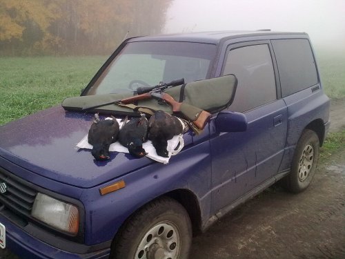 Удачное утро.