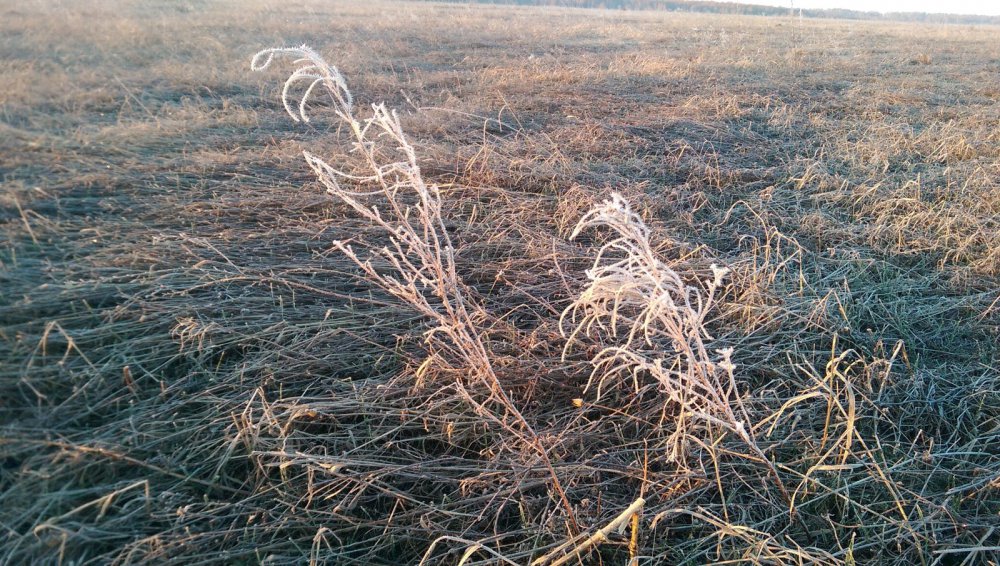 Утро 03.05.2015 г.
