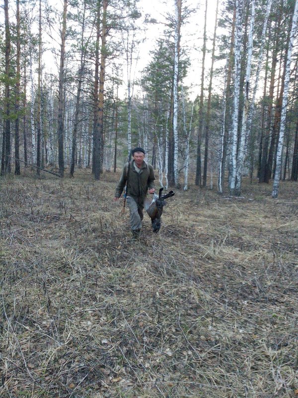 на охоте