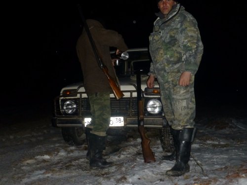 Таежная прогулка.