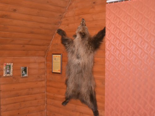 Будем пополнять