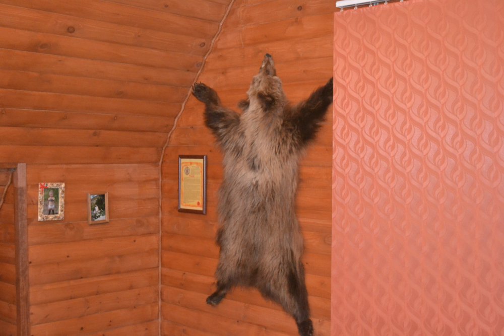 Будем пополнять