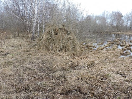 Мой скрадок