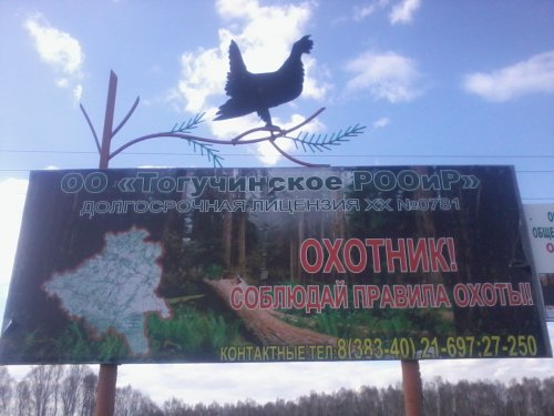 охотились в Тогучинском районе