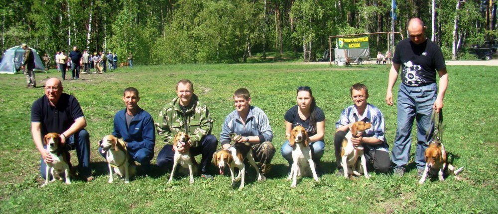 Новосибирская областная выставка.