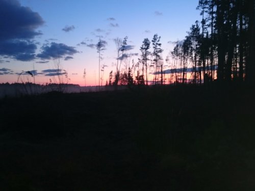 на закате