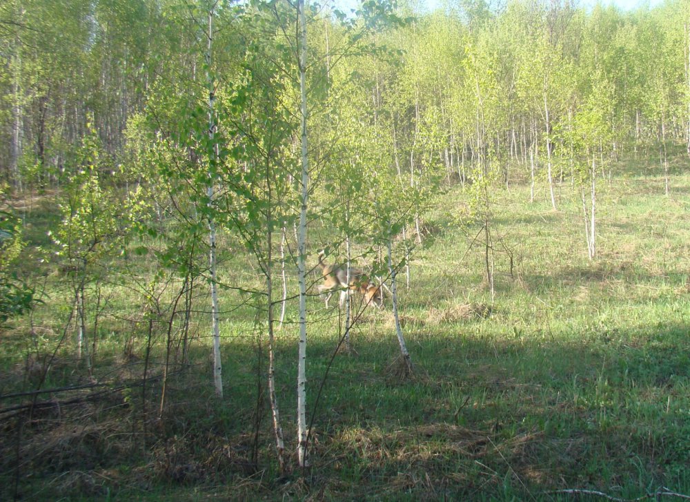 В полазе.