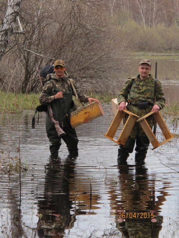 Возращение после утренней зари.