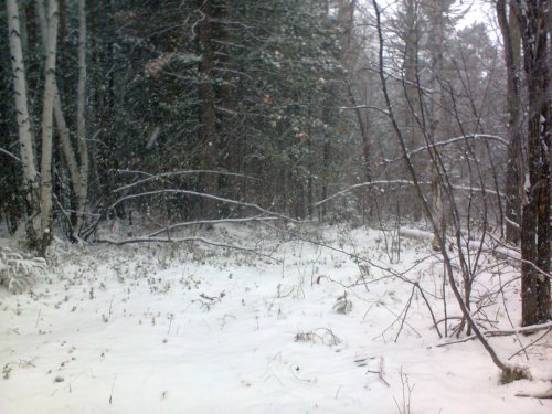 Весенняя погодка