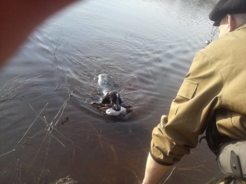 Я не только Уток достаю! Но И водоемы чищу))