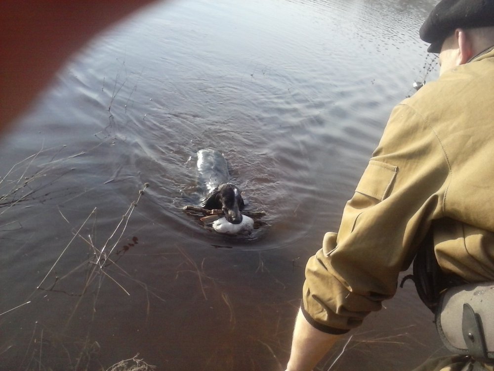 Я не только Уток достаю! Но И водоемы чищу))