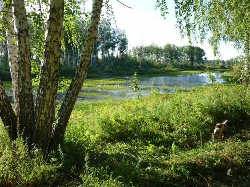 Осень, как дорога ты нам.....