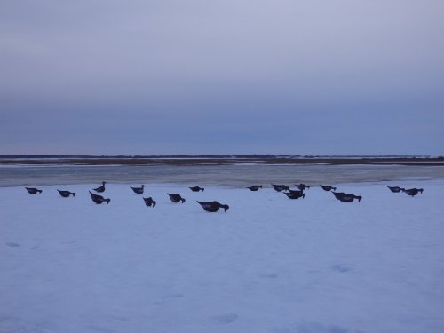 готовимся