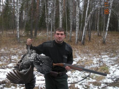 с лиственницы!