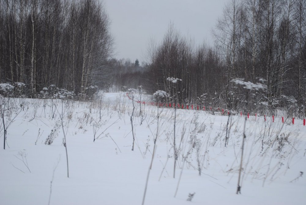 оклад