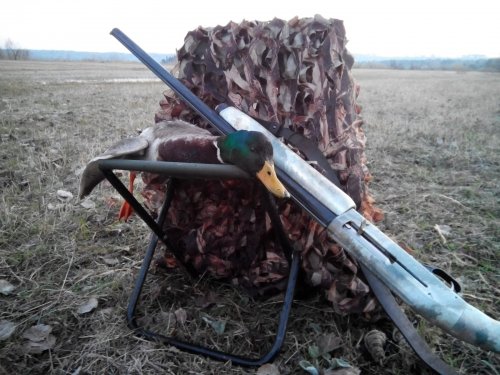 самэц