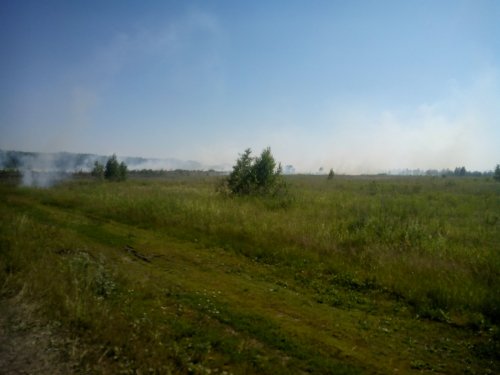 Прогулка с пожаром .