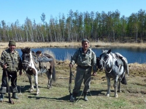 Наши лошадки неприхотливы, но выносливы