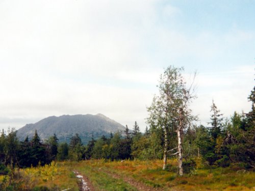 Из старых фотографий, камень