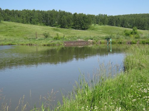 Полиглоты на рыбалке