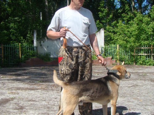 Участники выставки г. Тогучин.