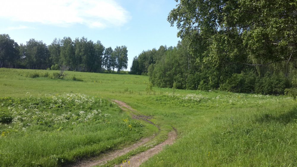Лесными дорожками.......