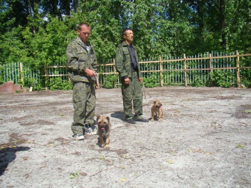 Участники выставки  г.Тогучин.