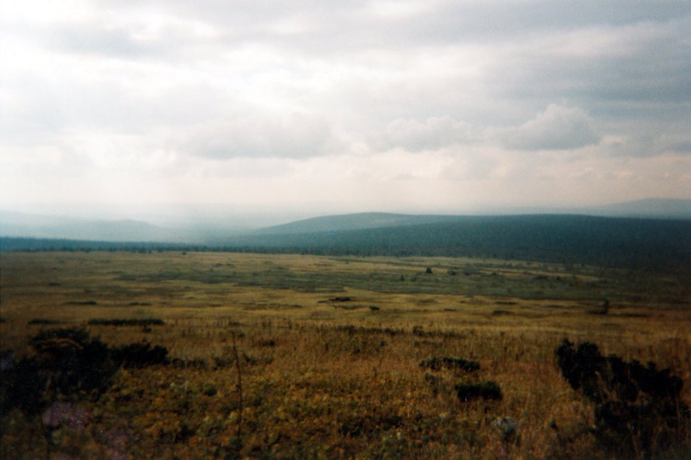 Кваркуш