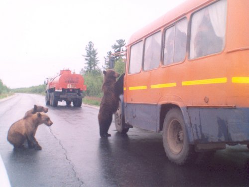 На месторождении