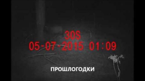 Весна 15г