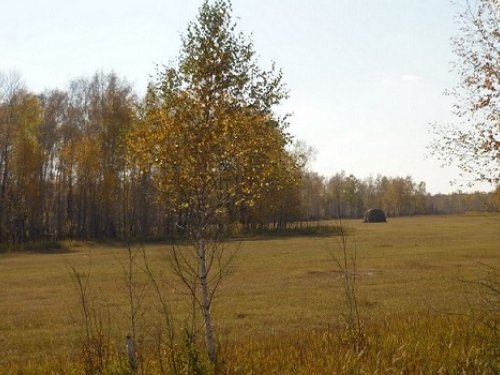 Охота в засуху.