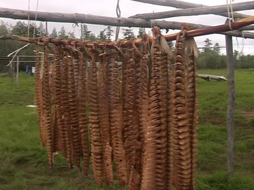 Юкола из чира