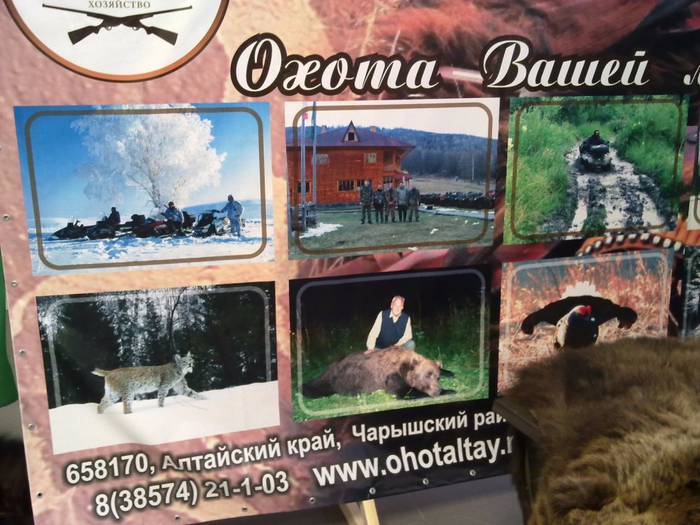 Выставка 4