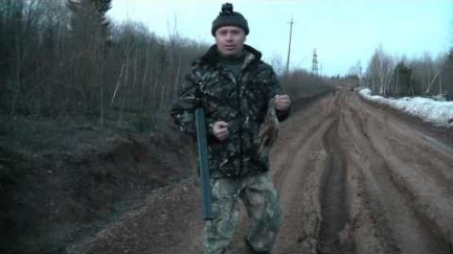 Открытие охоты на вальдшнепа. 01.05.2015