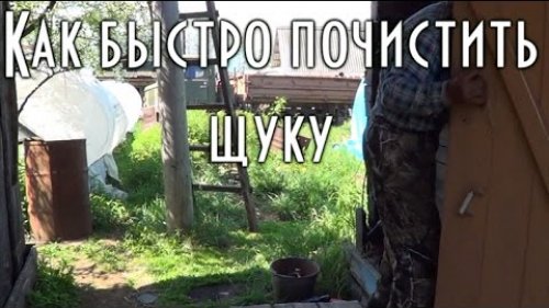 Как быстро почистить щуку How to quickly clean the pike