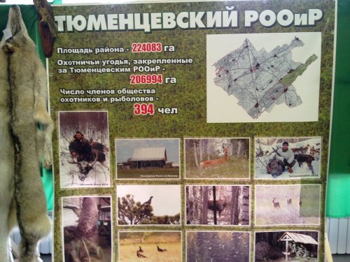 Выставка 5