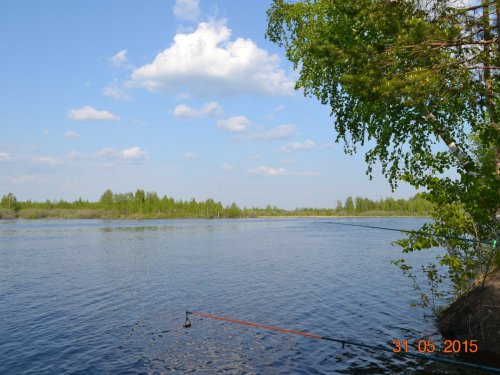 прекрасный день