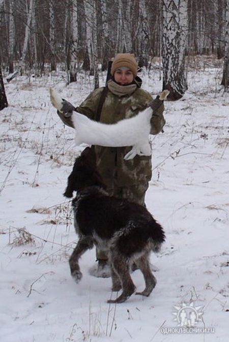 НСО, Дупленка